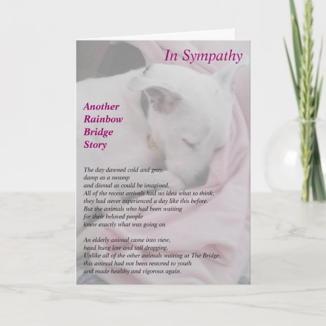 Tarjeta de la condolencia del salvador (Anverso)