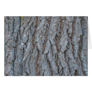 Tarjeta de la corteza de árbol