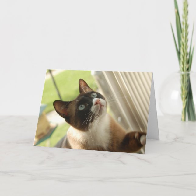 Tarjeta de la crepe (Anverso)