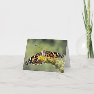 Tarjeta de la enhorabuena de la mariposa