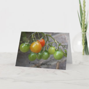 Tarjeta de la enhorabuena de la planta de tomate