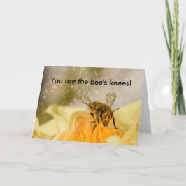 Tarjeta de la enhorabuena de las rodillas de la