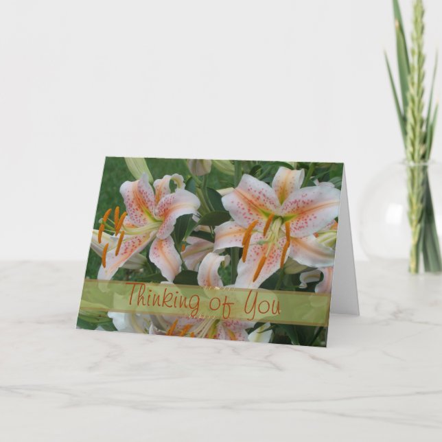 Tarjeta de la estrella de los salmones para (Anverso)