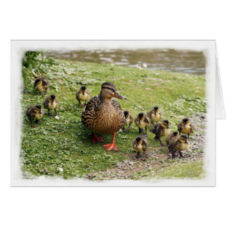 Tarjeta de la familia del pato