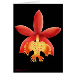 Tarjeta de la flor de la orquídea del Epidendrum