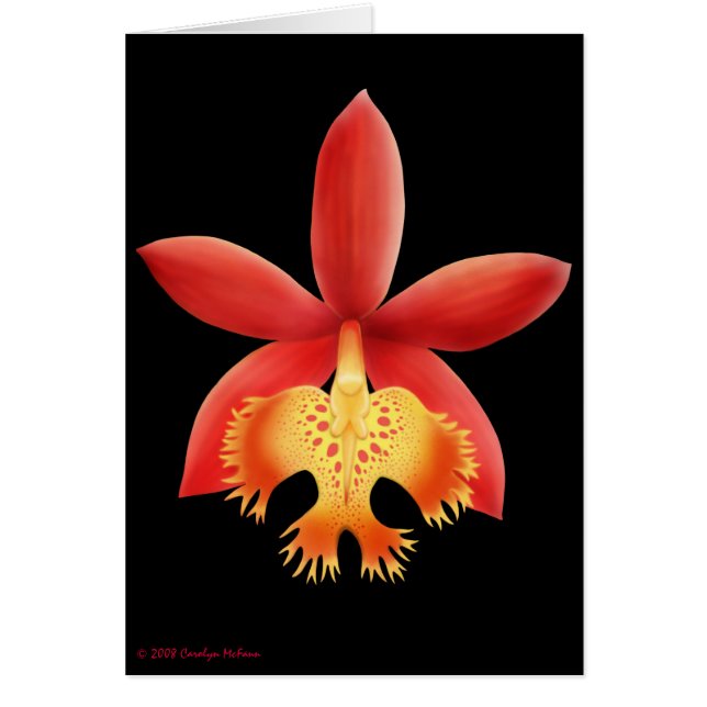 Tarjeta de la flor de la orquídea del Epidendrum (Frente)