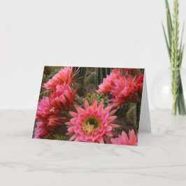 Tarjeta de la flor del cactus