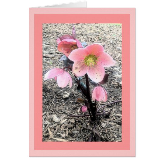 Tarjeta de la flor del melocotón