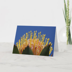 Tarjeta de la flor del Protea
