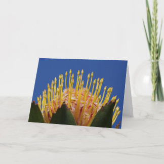 Tarjeta de la flor del Protea