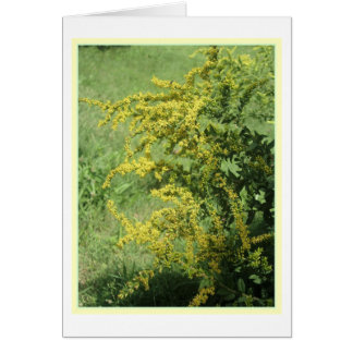 Tarjeta de la flor salvaje
