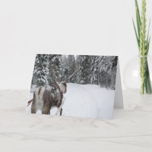 Tarjeta de la foto de la tarjeta de Navidad del