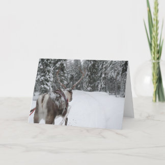 Tarjeta de la foto de la tarjeta de Navidad del