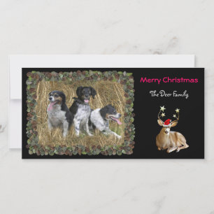 Tarjeta de la foto de los ciervos del navidad