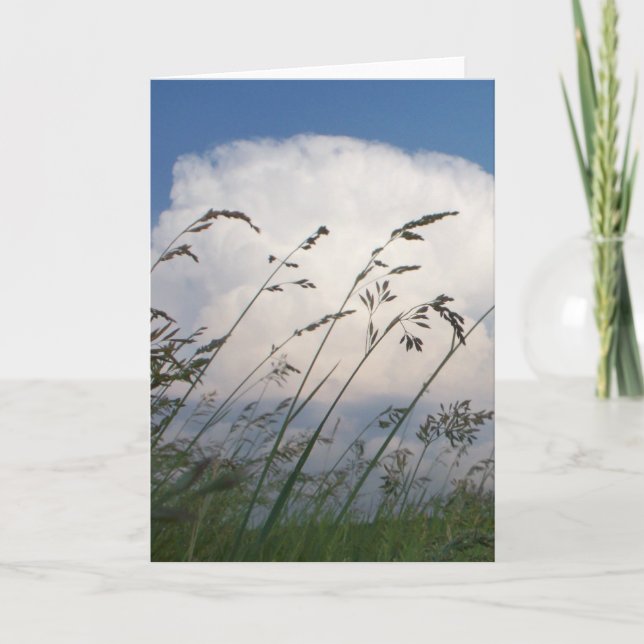 Tarjeta de la foto de "Rye y del cielo" (Anverso)