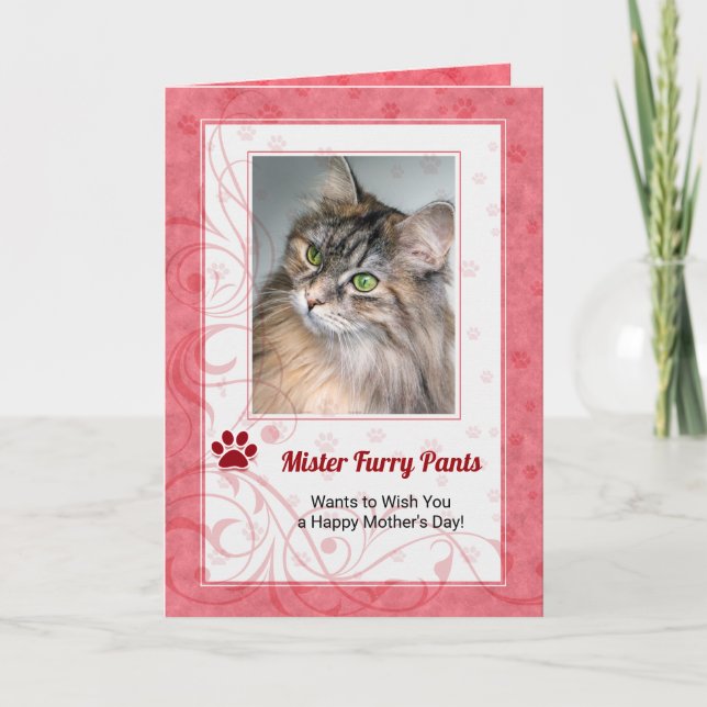 Tarjeta De la foto del Día de la Madre de un Rosa de gato (Anverso)
