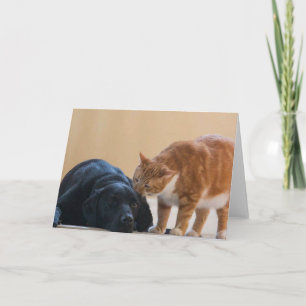 Tarjeta de la foto del perro - Davy y amigo