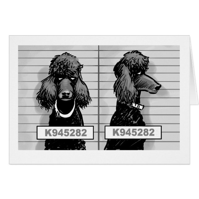 Tarjeta de la fotografía de detenido del perro (Anverso (Horizontal))