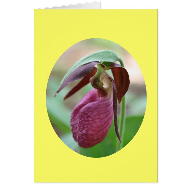 Tarjeta de la fotografía de la flor de la orquídea (Frente)