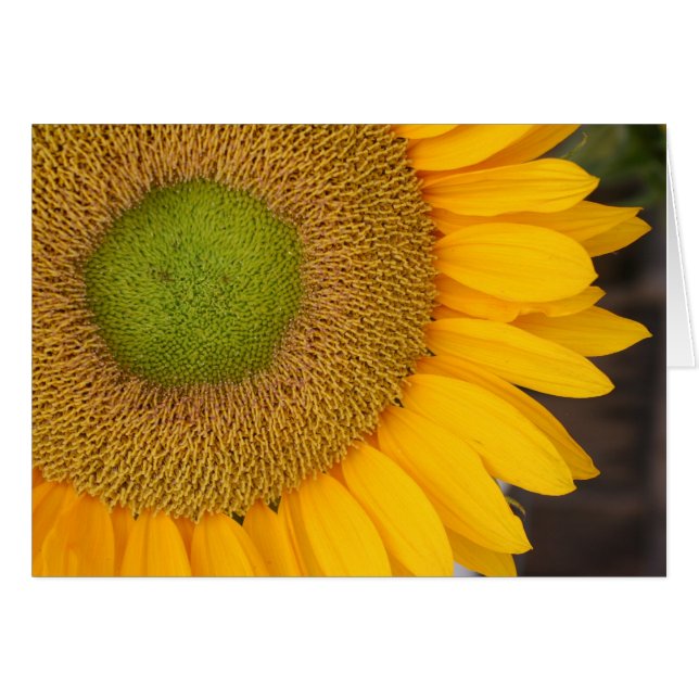 Tarjeta de la fotografía de la flor de los pétalos (Anverso (Horizontal))