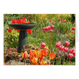 Tarjeta de la fuente del tulipán