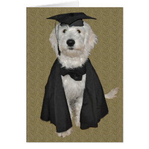 Tarjeta de la graduación de Goldendoodle