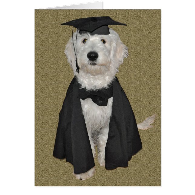 Tarjeta de la graduación de Goldendoodle (Frente)