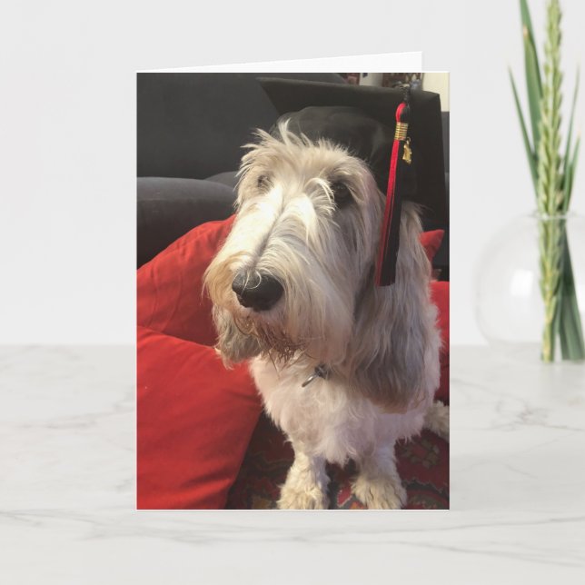 Tarjeta de la graduación del perro (Anverso)