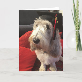 Tarjeta de la graduación del perro