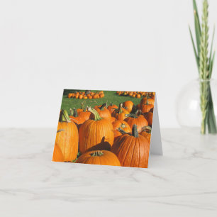 Tarjeta de la granja de los calabazas Roca Berry 4