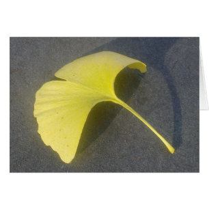 Tarjeta de la hoja de Biloba del Ginkgo