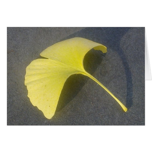 Tarjeta de la hoja de Biloba del Ginkgo (Anverso (Horizontal))