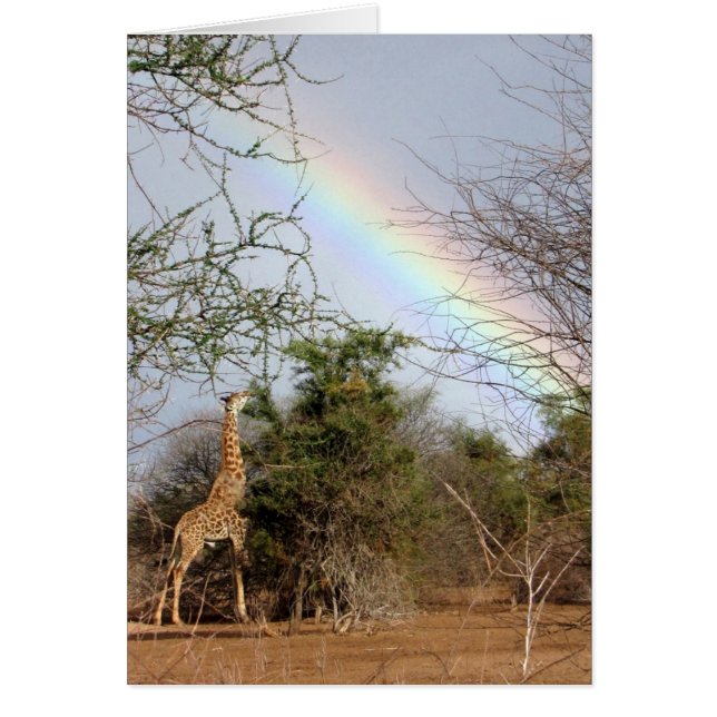 Tarjeta de la jirafa y del arco iris (Frente)