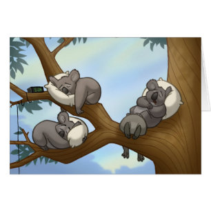 Tarjeta de la koala el dormir