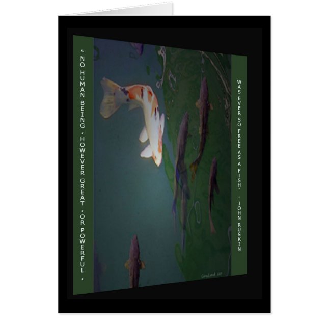 Tarjeta de la libertad (Frente)