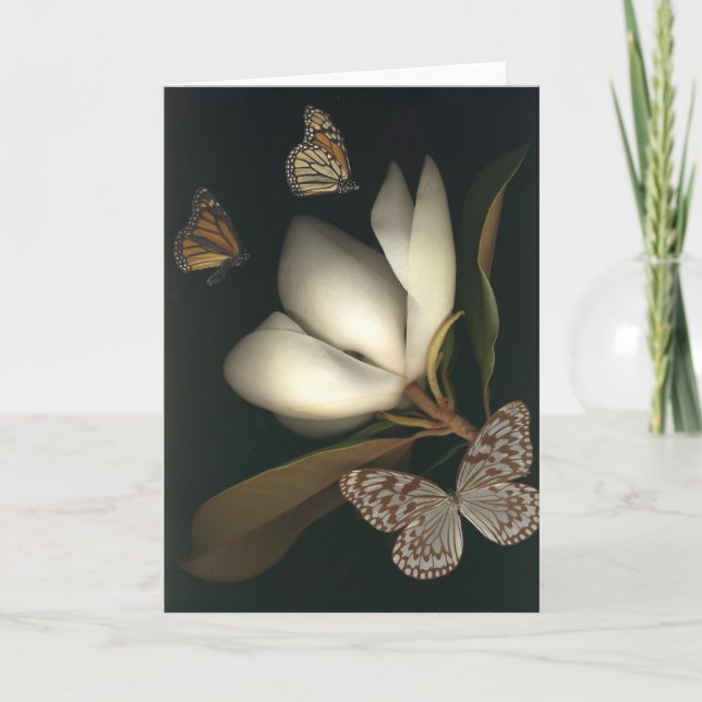 tarjeta de la magnolia y de nota butterflies1 (Anverso)