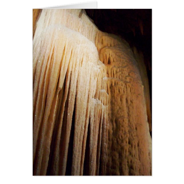 Tarjeta de la marea de reflujo (Frente)