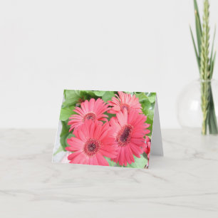 Tarjeta de la margarita