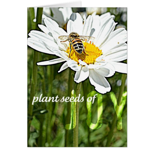 Tarjeta de la margarita de la alegría (Frente)