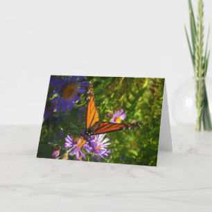 Tarjeta de la mariposa de monarca
