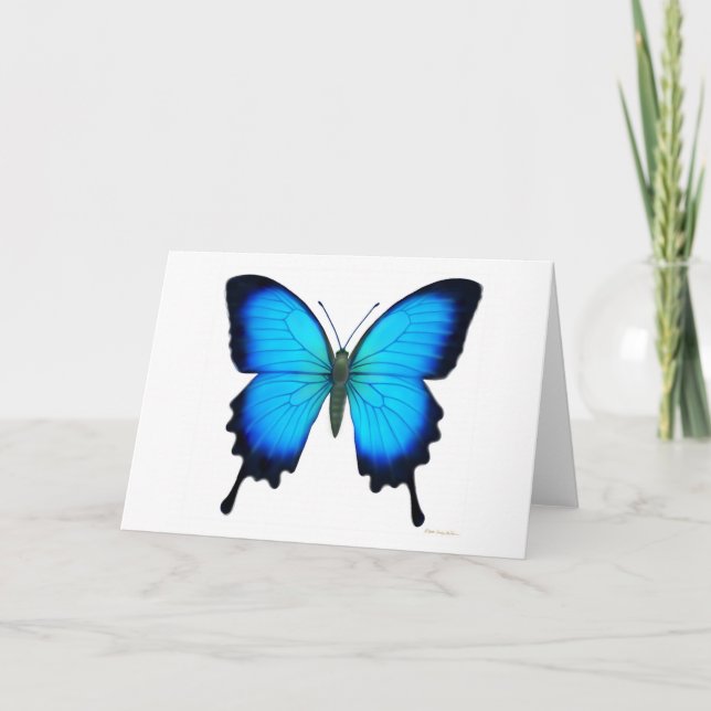 Tarjeta de la mariposa de Papilio Ulises (Anverso)
