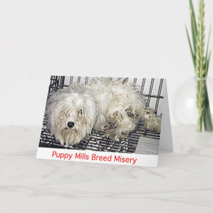 Tarjeta de la miseria de la raza de los molinos