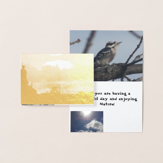 tarjeta de la naturaleza (Demostración)