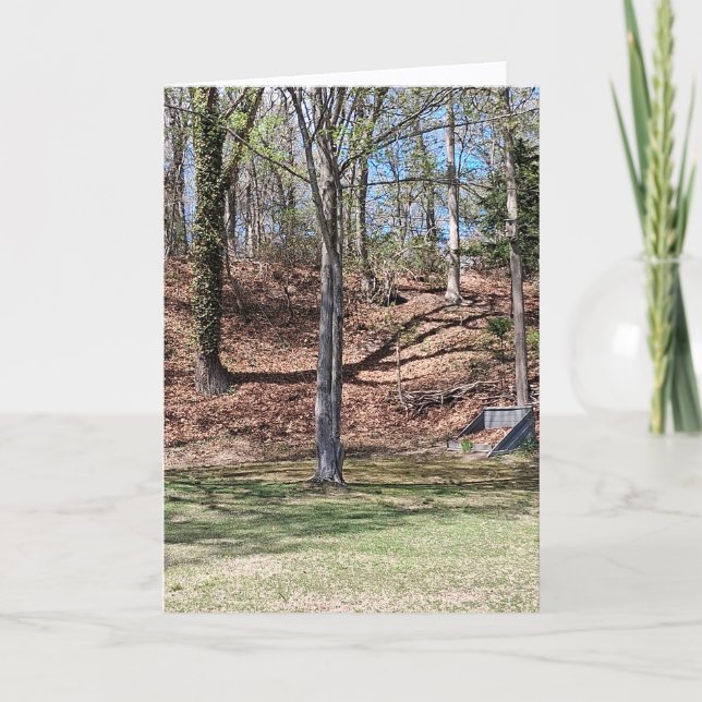 Tarjeta de la Naturaleza (Anverso)