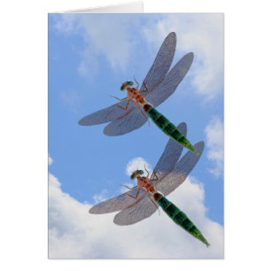 Tarjeta de la naturaleza Dragonflies Blue Sky Clou