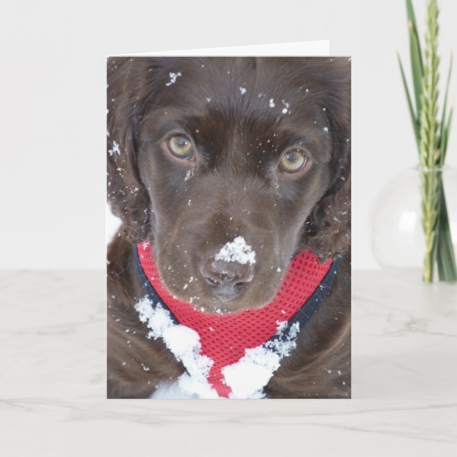 Tarjeta de la nieve del perrito del navidad (Anverso)
