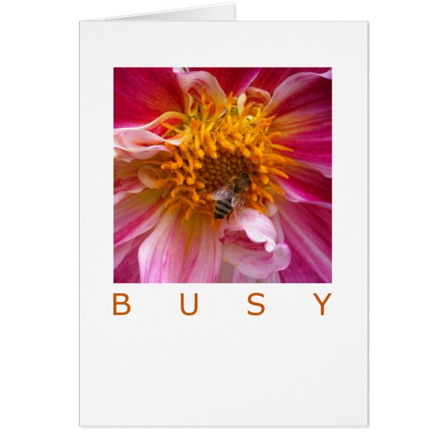 Tarjeta de la ocasión: Abeja ocupada (Frente)