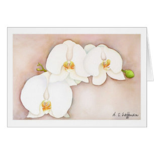 Tarjeta de la orquídea
