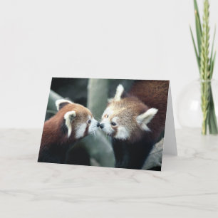 Tarjeta de la panda roja #2-Greeting