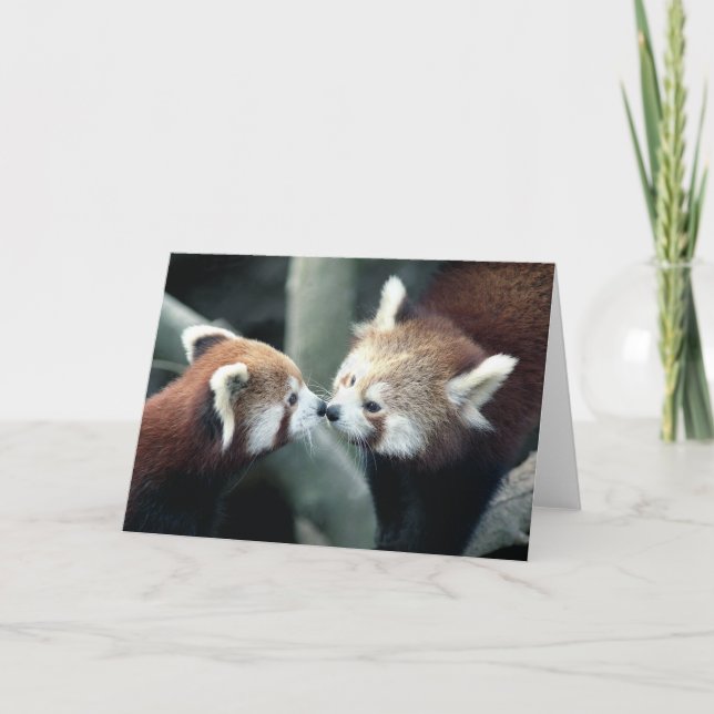 Tarjeta de la panda roja #2-Greeting (Anverso)